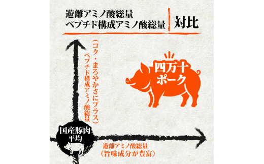 【定期便12回】四万十ポークスライス 計10.8kg（900g×12ヶ月連続お届け) 2Dコース | 豚肉 豚バラ肉 小分け 小間切れ スライス 切り落とし 冷凍 真空パック 簡単調理 細切れ 大容量 肉 高知県 須崎市 TM32000