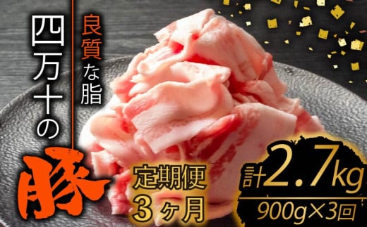【定期便3回】四万十ポークスライス 計2.7kg（900g×3ヶ月連続お届け) 2Bコース | 豚肉 豚バラ肉 小分け 小間切れ スライス 切り落とし 冷凍 真空パック 簡単調理 細切れ 大容量 肉 高知県 須崎市 TM30000