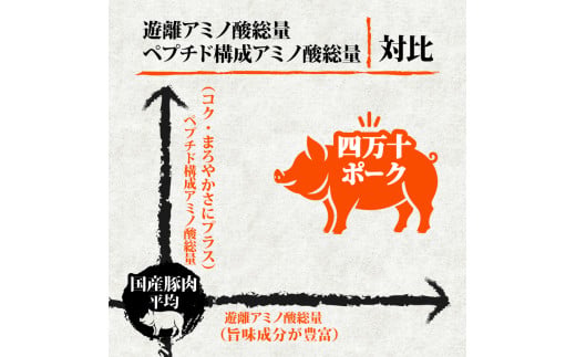 【定期便12回】四万十ポークスライス 計7.2kg（600g×12ヶ月連続お届け) 2Aコース | 豚肉 豚バラ肉 小分け 小間切れ スライス 切り落とし 冷凍 真空パック 簡単調理 細切れ 大容量 肉 高知県 須崎市 TM29000