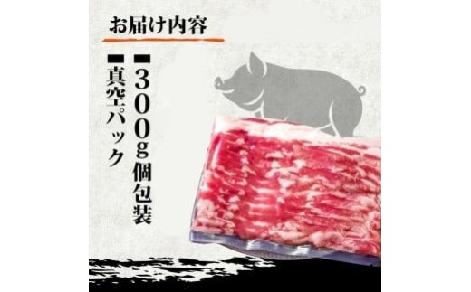 【定期便12回】四万十ポークスライス 計7.2kg（600g×12ヶ月連続お届け) 2Aコース | 豚肉 豚バラ肉 小分け 小間切れ スライス 切り落とし 冷凍 真空パック 簡単調理 細切れ 大容量 肉 高知県 須崎市 TM29000