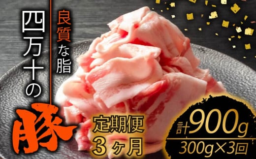 【定期便3回】四万十ポークスライス 計900g（300g×3ヶ月連続お届け) Vコース | 豚肉 豚バラ肉 小分け 小間切れ スライス 切り落とし 冷凍 真空パック 簡単調理 細切れ 大容量 肉 高知県 須崎市 TM24000