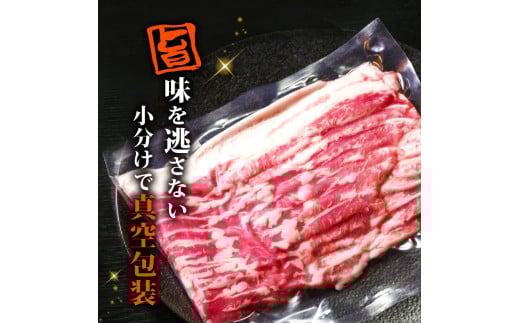 【定期便3回】四万十ポークスライス 計900g（300g×3ヶ月連続お届け) Vコース | 豚肉 豚バラ肉 小分け 小間切れ スライス 切り落とし 冷凍 真空パック 簡単調理 細切れ 大容量 肉 高知県 須崎市 TM24000