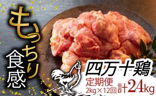 【定期便12回】銘柄鶏 四万十鶏 もも肉 計24kg（2kg×12ヶ月連続お届け) Uコース | 切身 カット 時短 小分け カット済み 鳥肉 とりにく 鶏もも 冷蔵 国産 ブランド 唐揚げ 煮物 鍋 チキン 南蛮 高知県 須崎市 TM23000