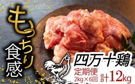 【定期便6回】銘柄鶏 四万十鶏 もも肉 計12kg（2kg×6ヶ月連続お届け) Tコース | 切身 カット 時短 小分け カット済み 鳥肉 とりにく 鶏もも 冷蔵 国産 ブランド 唐揚げ 煮物 鍋 チキン 南蛮 高知県 須崎市 TM22000