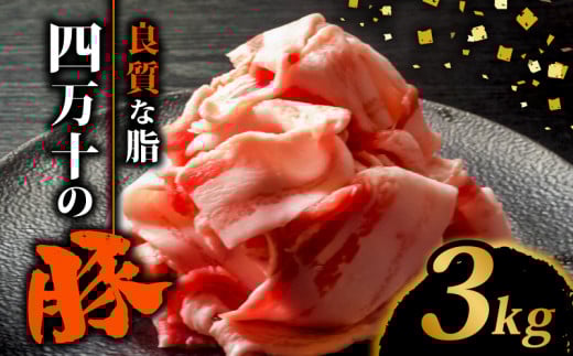 四万十ポークスライス3kg | 300g × 10パック セット 豚肉 豚バラ肉 小分け 小間切れ スライス 切り落とし 冷凍 真空パック 簡単調理 細切れ 大容量 肉 高知県 須崎市 TM040