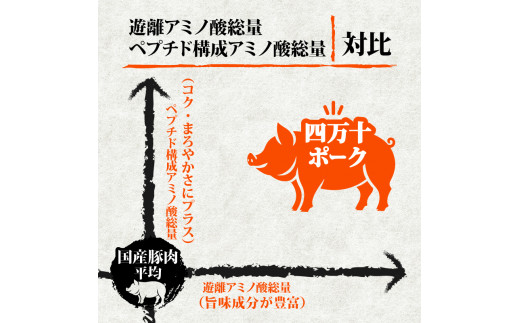 四万十ポークスライス1.2kg | 300g × 4パック セット 豚肉 豚バラ肉 小分け 小間切れ スライス 切り落とし 冷凍 真空パック 簡単調理 細切れ 大容量 肉 高知県 須崎市 TM037