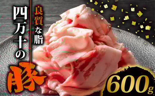 四万十ポークスライス600g | 300g × 2パック セット 豚肉 豚バラ肉 小分け 小間切れ スライス 切り落とし 冷凍 真空パック 簡単調理 細切れ 大容量 肉 高知県 須崎市 TM035