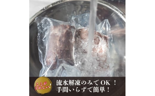 ローストビーフ 400g (200g×2) 赤身 肉 牛 ローストビーフ 牛肉 キャンプ BBQ アウトドア 真空 冷凍 米 おかず 晩ごはん 弁当 ローストビーフ おつまみ ローストビーフ 惣菜 サラダ 加工品 加工品 簡単調理  便利 ギフト タレ 玉ねぎ 贈答 人気 高知県 須崎市 SNM017 