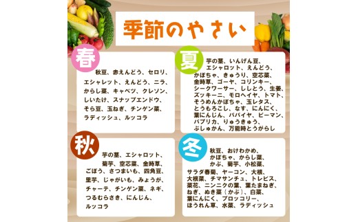野菜定期便 7品~8品 12ヵ月 産地直送 朝採れ （ 7品 ～ 8品 野菜 セット 詰め合わせ 特産 季節 旬 新鮮 彩 ベジタブル 高知県 須崎市  ）NPO22000