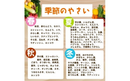 野菜定期便 7品~8品 6ヵ月 産地直送 朝採れ （ 7品 ～ 8品 野菜 セット 詰め合わせ 特産 季節 旬 新鮮 彩 ベジタブル 高知県 須崎市  ）NPO21000