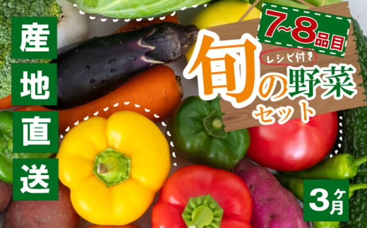 野菜定期便 7品~8品 3ヵ月 産地直送 朝採れ （ 7品 ～ 8品 野菜 セット 詰め合わせ 特産 季節 旬 新鮮 彩 ベジタブル 高知県 須崎市  ）NPO20000