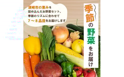 野菜定期便 7品~8品 3ヵ月 産地直送 朝採れ （ 7品 ～ 8品 野菜 セット 詰め合わせ 特産 季節 旬 新鮮 彩 ベジタブル 高知県 須崎市  ）NPO20000