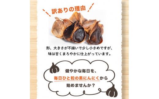 【早期予約】 訳あり 黒にんにく500g  あわ地区 野菜 高知 須崎
