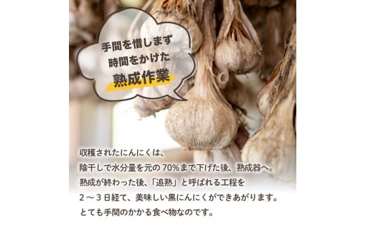 【早期予約】 訳あり 黒にんにく500g  あわ地区 野菜 高知 須崎