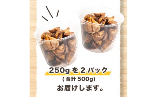【早期予約】 訳あり 黒にんにく500g  あわ地区 野菜 高知 須崎