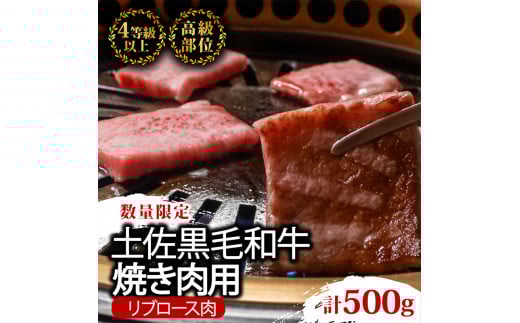 ã6åå®æäŸ¿ãåäœé»æ¯åç é£ã¹æ¯ã¹ 3940g (èš3.9kg以äž) | Hã³ãŒã¹ å³éž åœç£ åç ããçŒã ããã¶ããã¶ ã¹ããŒã çŒãè ãè ã«ã ééã çè ãŠãè ãã§è ã¢ã¢è ããè ãµãŒãã€ã³ ãªãããŒã¹ äººæ° èŽç ã®ãã ãã¬ãŒã³ã å°åã æ°ééå® 6ãµæ é åžäŒ èè ãããã¡ããŒã é«ç¥ç é åŽåž TM10000