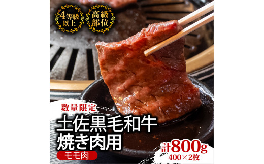 ã6åå®æäŸ¿ãåäœé»æ¯åç é£ã¹æ¯ã¹ 3940g (èš3.9kg以äž) | Hã³ãŒã¹ å³éž åœç£ åç ããçŒã ããã¶ããã¶ ã¹ããŒã çŒãè ãè ã«ã ééã çè ãŠãè ãã§è ã¢ã¢è ããè ãµãŒãã€ã³ ãªãããŒã¹ äººæ° èŽç ã®ãã ãã¬ãŒã³ã å°åã æ°ééå® 6ãµæ é åžäŒ èè ãããã¡ããŒã é«ç¥ç é åŽåž TM10000