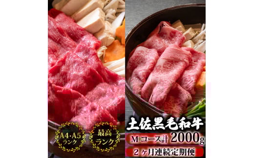 ã2åå®æäŸ¿ãåäœé»æ¯åç é£ã¹æ¯ã¹ 2000g (èš2kg以äž) | Mã³ãŒã¹ å³éž åœç£ åç ããçŒã ããã¶ããã¶ ãè ã«ã ééã çè ãŠãè ãã§è ãªãããŒã¹ äººæ° èŽç ã®ãã ãã¬ãŒã³ã å°åã æ°ééå® 2ãµæ é åžäŒ èè ãããã¡ããŒã é«ç¥ç é åŽåž TM15000