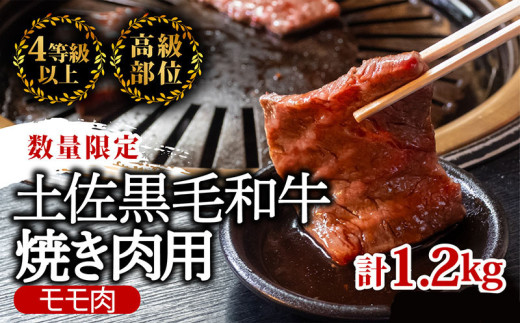 【3回定期便】土佐黒毛和牛 食べ比べ 3200g (計3kg以上) | Nコース 厳選 国産 和牛 すき焼き しゃぶしゃぶ 焼き肉 お肉 にく 霜降り 牛肉 ウデ肉 うで肉 もも肉 モモ肉 リブロース 人気 贈答 ギフト プレゼント 小分け 数量限定 3ヵ月 頒布会 老舗 たけうちミート 高知県 須崎市 TM16000