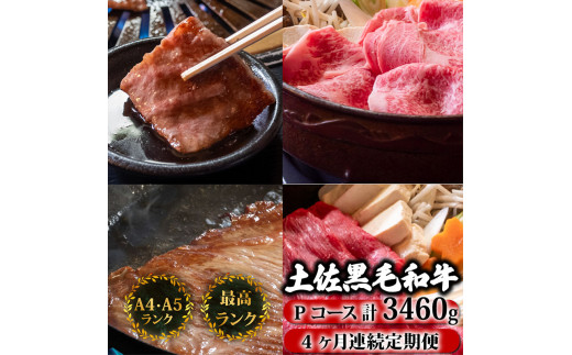 【4回定期便】土佐黒毛和牛 食べ比べ 3460g (計3kg以上) | Pコース 厳選 国産 和牛 すき焼き しゃぶしゃぶ ステーキ 焼き肉 お肉 にく 霜降り 牛肉 ウデ肉 うで肉 モモ肉 もも肉 サーロイン リブロース 人気 贈答 ギフト プレゼント 小分け 数量限定 4ヵ月 頒布会 老舗 たけうちミート 高知県 須崎市 TM18000