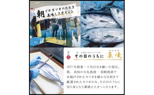 厳選 朝獲れ カツオ タタキセット 300 - 350g タレ付き 冷凍 ( かつお 鰹 鮮魚店 海鮮 魚介 おかず おつまみ 惣菜 晩ごはん 本場 高知 ) MYK003