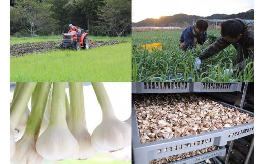 ææ©é»ã«ãã«ãããŒã¹ã 500g | ãªãŒã¬ããã¯ ææ©æ œå¹ å¥åº·é£å é«ç¥çç£ é åŽåž