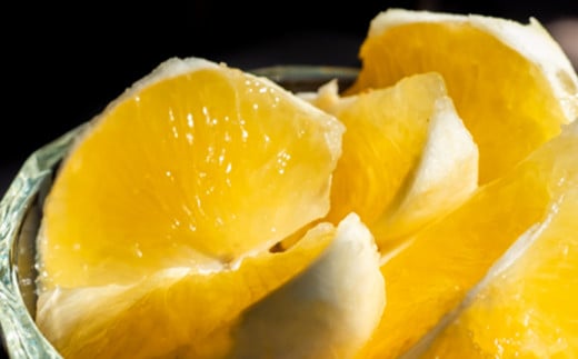 【訳あり】小夏 (日向夏) ヘルシー小夏ちゃん 3kg 2026年5月末から発送  | 家庭用 期間 数量 限定 旬 人気 果物 くだもの 柑橘 フルーツ みかん ジュース 高知県 須崎市 KYM009