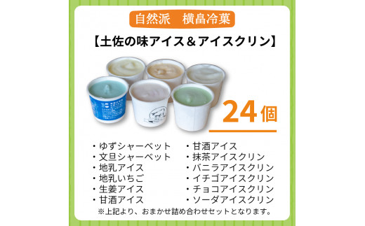 高知 名物 アイスクリン ふるさとの味アイス 24個セット ( ゆず 文旦 甘酒 ミルク いちごミルク 生姜  バニラ 抹茶 いちご チョコ ソーダ 人気 カップ スイーツ バラエティ おやつ 詰め合わせ デザート 詰合せ ) ME072