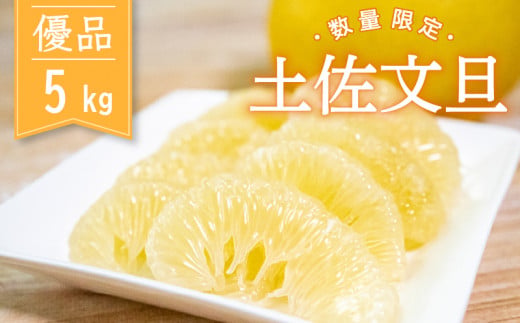 土佐文旦 優品 5kg 先行予約 2027年2月から順次発送 高知県産 柑橘 フルーツ 文旦 ぶんたん ブンタン 分担 果物 みかん 文旦 産地直送 高知県 須崎 須崎市 KG015
