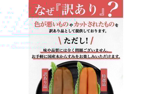 からすみ 100g【訳あり】 冷蔵配送 職人 吉岡 カラスミ 国産 唐墨 高級 珍味 酒の肴 家庭用 つまみ 魚卵 ボラ 鯔 鰡 記念日 高知 日本酒 高知県 須崎市