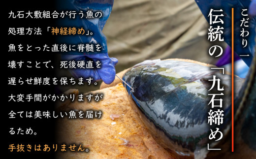 ãã¹ããŒãé
éã ãè¹äžç¥çµç· ãé®®éããã¯ã¹ãæç²ãçŽé 3~5çš®å
¥ã 1é±é以å
ã«çºé å·èµ éçš®ãä»»ã æ°Žæã æµ·é®® éä» ç£å°çŽé æ°é®® å€©ç¶ é è©°ãåãã