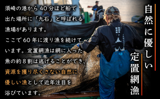 ãã¹ããŒãé
éã ãè¹äžç¥çµç· ãé®®éããã¯ã¹ãæç²ãçŽé 3~5çš®å
¥ã 1é±é以å
ã«çºé å·èµ éçš®ãä»»ã æ°Žæã æµ·é®® éä» ç£å°çŽé æ°é®® å€©ç¶ é è©°ãåãã