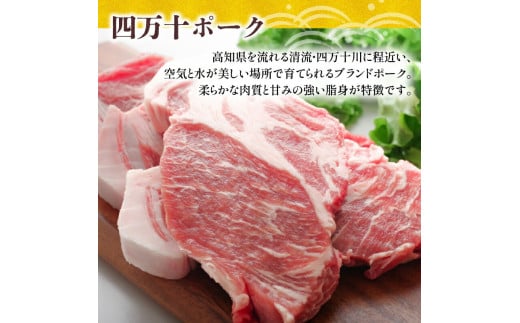 6ヶ月定期便 四万十ポーク入りハンバーグ 2.4kg(200g×12個) 冷凍 真空 小分け 個包装 肉汁たっぷり ハンバーグ 大容量 ハンバーグ 合挽き ハンバーグ 牛肉 ハンバーグ 豚肉 ハンバーグ  お弁当 おかず 惣菜 晩ごはん 贅沢 SNM1000