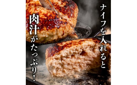 12ヶ月定期便 四万十ポーク入りハンバーグ 2.4kg(200g×12個) 冷凍 真空 小分け 個包装 肉汁たっぷり ハンバーグ 大容量 ハンバーグ 合挽き ハンバーグ 牛肉 ハンバーグ 豚肉 ハンバーグ  お弁当 おかず 惣菜 晩ごはん 贅沢 SNM2000