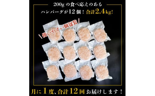 12ヶ月定期便 四万十ポーク入りハンバーグ 2.4kg(200g×12個) 冷凍 真空 小分け 個包装 肉汁たっぷり ハンバーグ 大容量 ハンバーグ 合挽き ハンバーグ 牛肉 ハンバーグ 豚肉 ハンバーグ  お弁当 おかず 惣菜 晩ごはん 贅沢 SNM2000
