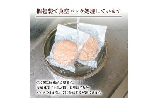 12ヶ月定期便 四万十ポーク入りハンバーグ 2.4kg(200g×12個) 冷凍 真空 小分け 個包装 肉汁たっぷり ハンバーグ 大容量 ハンバーグ 合挽き ハンバーグ 牛肉 ハンバーグ 豚肉 ハンバーグ  お弁当 おかず 惣菜 晩ごはん 贅沢 SNM2000