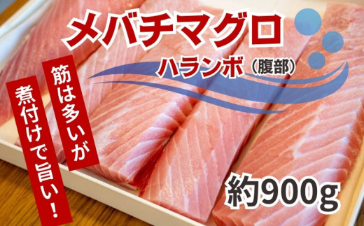 【訳あり】 メバチマグロ ハランボ 900g 天然 マグロ おすすめ 腹身 瞬間 冷凍 鮮度 抜群 焼き 煮物 加熱 調理 土佐洋 高知県 須崎市 TY034