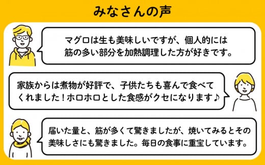 【訳あり】 メバチマグロ ハランボ 900g 天然 マグロ おすすめ 腹身 瞬間 冷凍 鮮度 抜群 焼き 煮物 加熱 調理 土佐洋 高知県 須崎市 TY034