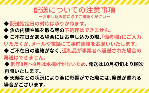 【スピード配送】 【 船上 神経締め 鮮魚 ボックス 】朝獲れ 直送 大漁コース 1週間以内にお届け 冷蔵 魚種お任せ 水揚げ 海鮮 魚介 産地直送 新鮮 天然 魚 詰め合わせ