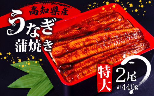 国産 うなぎ 蒲焼き 2尾 ( 1尾 約 220g ) 尾頭付き 土用の丑の日 高知県産 蒲焼 特大 特上 鰻 ひつまぶし うな丼 うな重 お歳暮 ギフト 冷凍 養殖 ふるさと納税うなぎ 高知県 須崎市 秘伝タレ付き 真空パック 惣菜 人気 ランキング おすすめ 母の日 父の日 ME0631_x