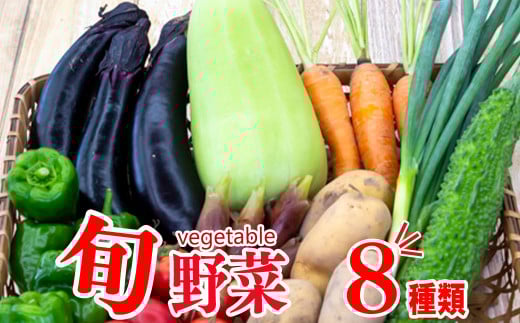 野菜  8 品目 | お楽しみ やさい セット 旬 春 夏 秋 冬 採れたて 新鮮 農家 直送 詰め合わせ 国産 季節 フレッシュ きゅうり ピーマン なす トマト 大根 白菜 高知県 須崎市 ME062_x