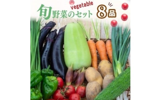 野菜  8 品目 | お楽しみ やさい セット 旬 春 夏 秋 冬 採れたて 新鮮 農家 直送 詰め合わせ 国産 季節 フレッシュ きゅうり ピーマン なす トマト 大根 白菜 高知県 須崎市 ME062_x