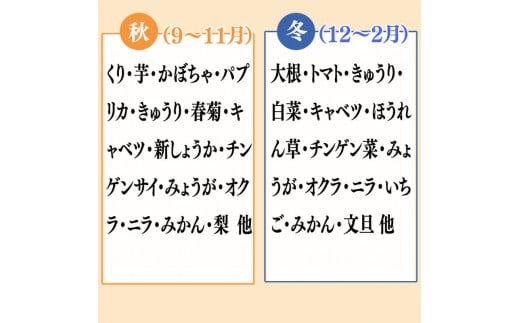 野菜  8 品目 | お楽しみ やさい セット 旬 春 夏 秋 冬 採れたて 新鮮 農家 直送 詰め合わせ 国産 季節 フレッシュ きゅうり ピーマン なす トマト 大根 白菜 高知県 須崎市 ME062_x