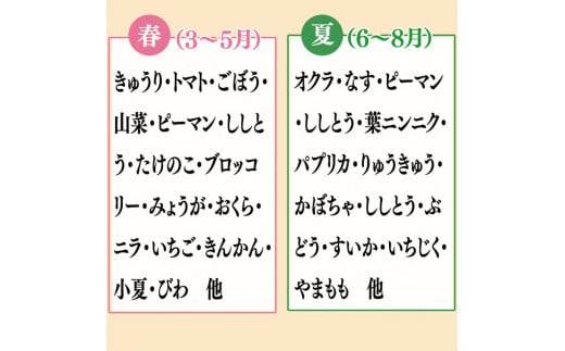 野菜  8 品目 | お楽しみ やさい セット 旬 春 夏 秋 冬 採れたて 新鮮 農家 直送 詰め合わせ 国産 季節 フレッシュ きゅうり ピーマン なす トマト 大根 白菜 高知県 須崎市 ME062_x