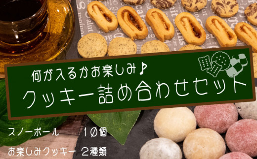 特製クッキー お楽しみ詰め合わせ セット きなこ 黒ごま いちご ブルー ベリージャム ココア 紅茶 クッキー 高知県 須崎市 お菓子 焼き菓子