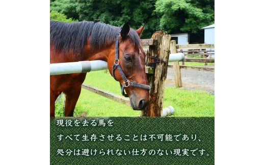 競走銬 æ¯æŽ 1å5,000äžå ã³ãŒã¹ 黿œ®å銬äŒå¿æŽ ç¹å
ž ãã¹ãã«ãŒã 競銬 ãµã©ãã¬ãã åŒé é«ç¥ç é åŽåž