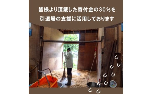 競走銬 æ¯æŽ 1å5,000äžå ã³ãŒã¹ 黿œ®å銬äŒå¿æŽ ç¹å
ž ãã¹ãã«ãŒã 競銬 ãµã©ãã¬ãã åŒé é«ç¥ç é åŽåž