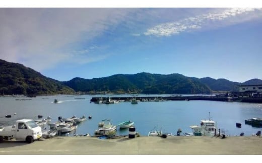 4ヶ月 連続 定期便 こだわり お魚 コース | かつお かつおのたたき かつおのタタキ 鰹のたたき サバ さば 鯛 たい タイ 勘八 カンパチ 鰤 ブリ ぶり 漬け丼 刺身 頒布会 4回 みなみ丸 定期便 数量限定 須崎市 高知県