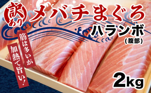 【訳あり】メバチマグロ（腹身部分）　TY014