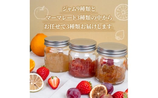 å®æäŸ¿ 4å ãžã£ã 3çš®é¡ ãã©ã€ãã«ãŒã 1çš®é¡ ã»ãã ããã¡ããã®å°ããªçæç®± ç°æ¢å ãã¡ã ãã«ãŒããªãŒ æ°é«æ¢š æž©å·ã¿ãã ã¯ã£ãã ãœããã ããŸãã ãã¡ãã ããã ã¬ã¢ã³ åäœææŠ é«ç¥ç é åŽåž